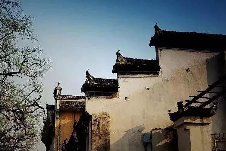 董子健孙怡离婚,还有一个分手瓜比明星离婚更令人惋惜,是什么呢?知识星球-专注知识分享,打造学习与成长的平台